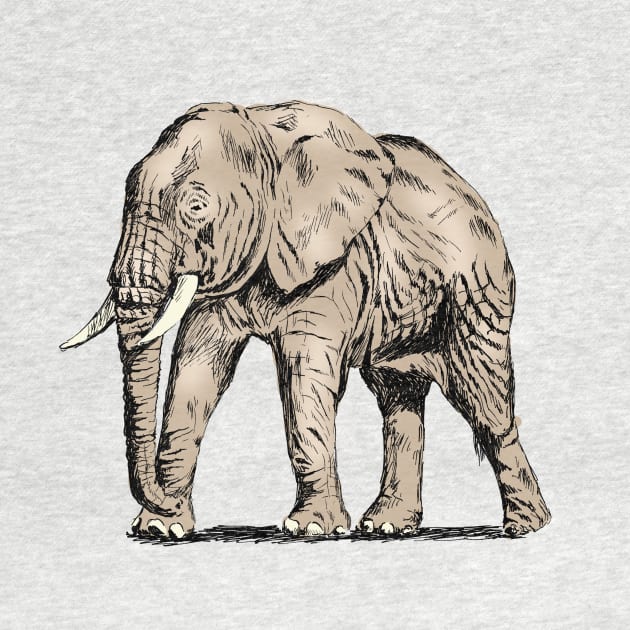 Elephant Print by rachelsfinelines